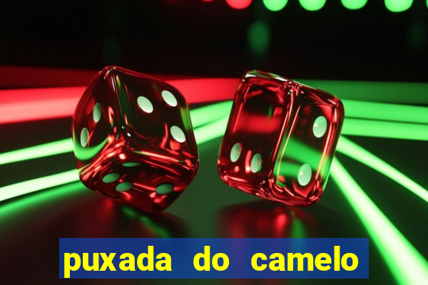 puxada do camelo jogo do bicho